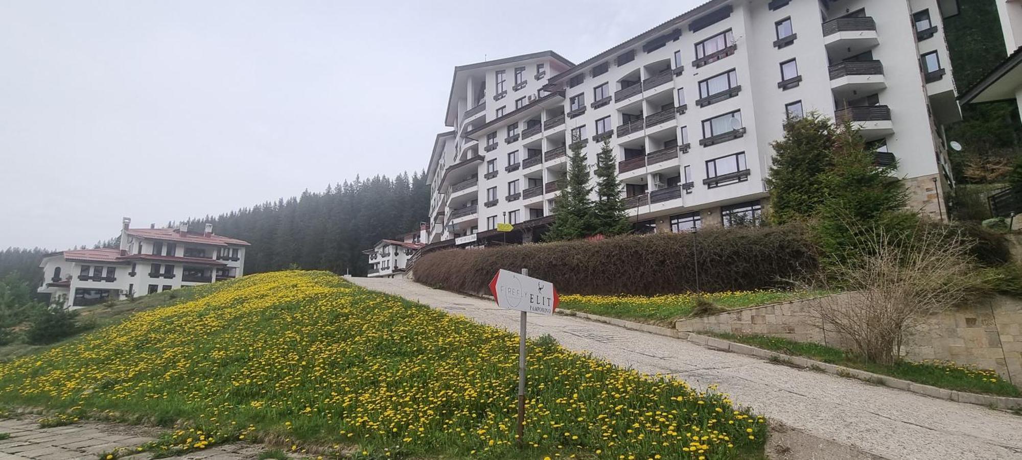 Elit Pamporovo Accommodation Eksteriør billede